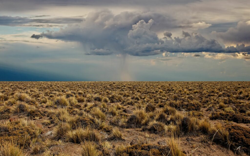 Vast desert landscape with sparse vegetation under dramatic stormy clouds and moody sky background Wallpaper