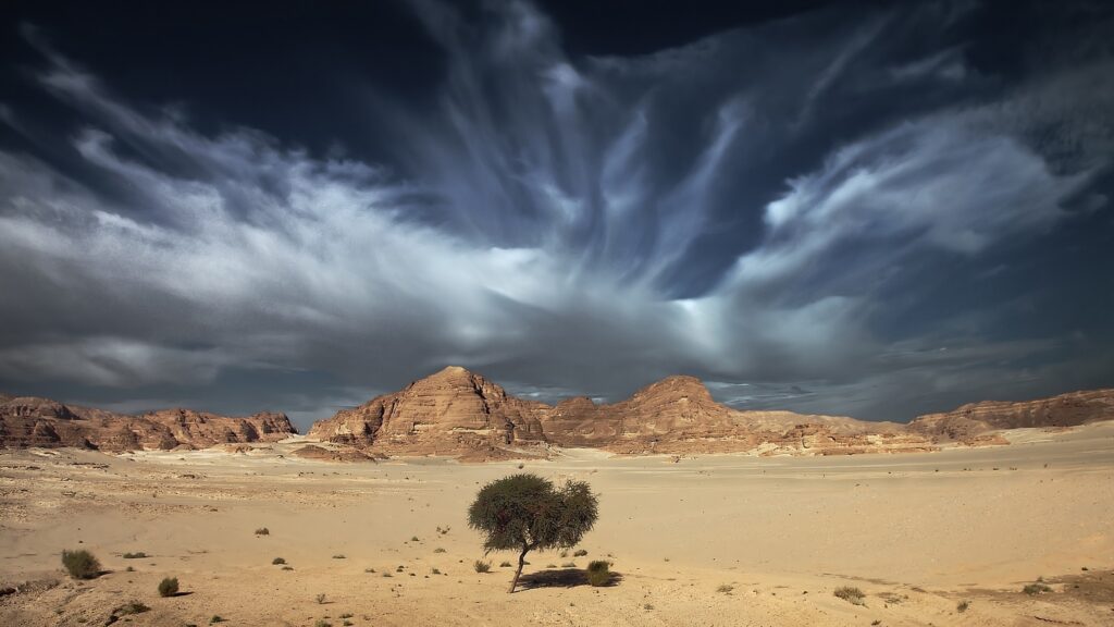 Dramatic desert landscape with a solitary tree rocky hills and wispy clouds under blue sky Wallpaper
