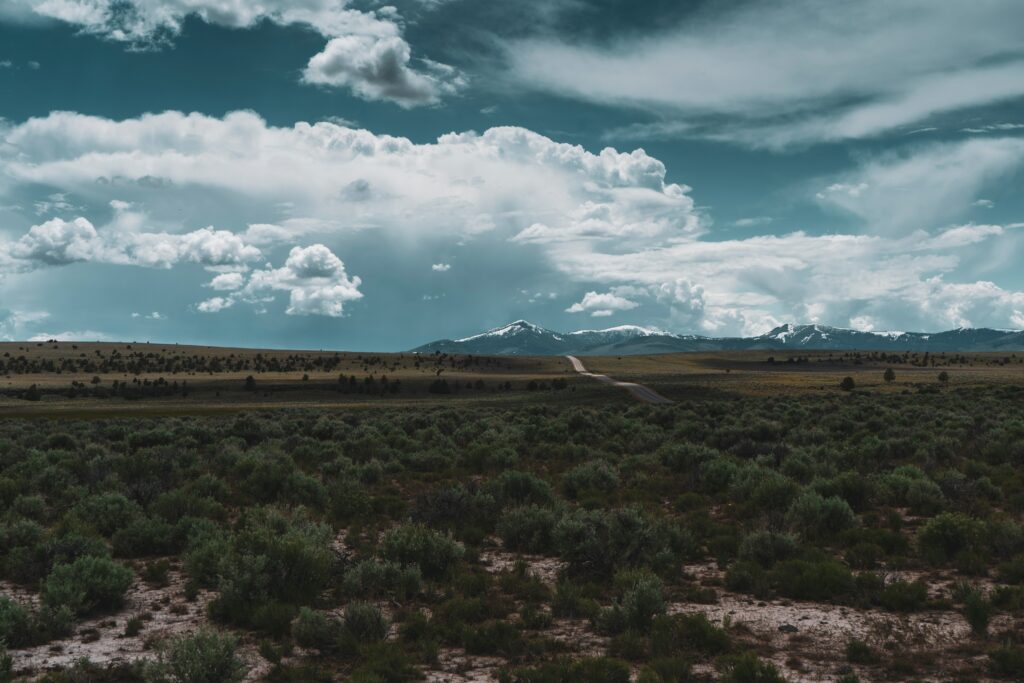 Dramatic desert road with green bushes snow-capped mountains and striking clouds wallpaper background
