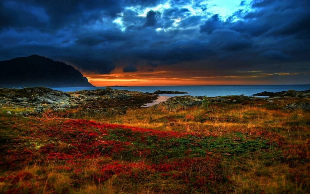 Dramatic evening coastal landscape with rugged mountains vibrant colorful vegetation and glowing sky Wallpaper
