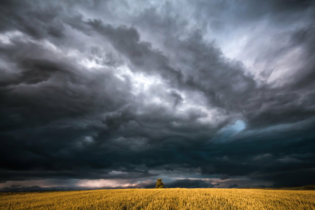 Stunning HD Wallpaper: Golden Field & Dramatic Stormy Sky Background