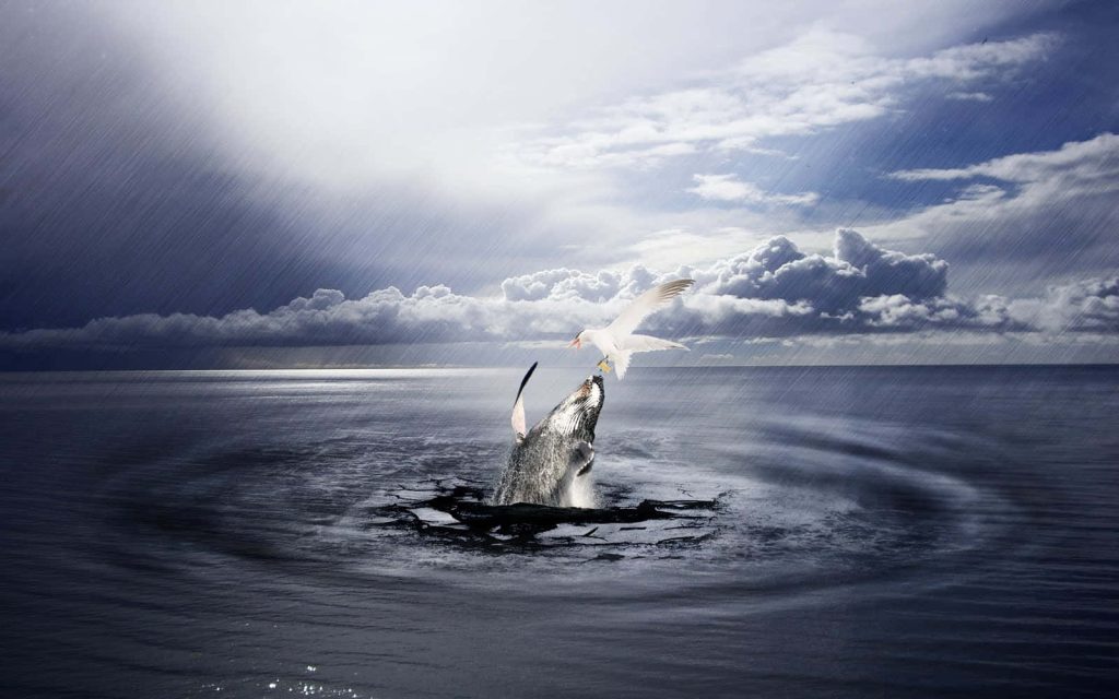 Dramatic digital art of humpback whale breaching stormy ocean catching seabird surreal wallpaper