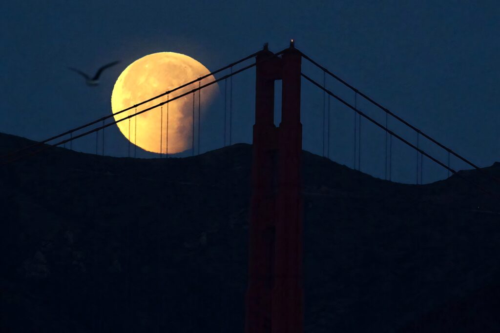 Dramatic lunar eclipse behind silhouetted bridge at night with golden moon and soaring bird wallpaper