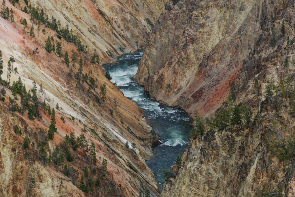 Powerful river flowing through colorful rugged gorge with sparse trees and mountainous landscape Wallpaper