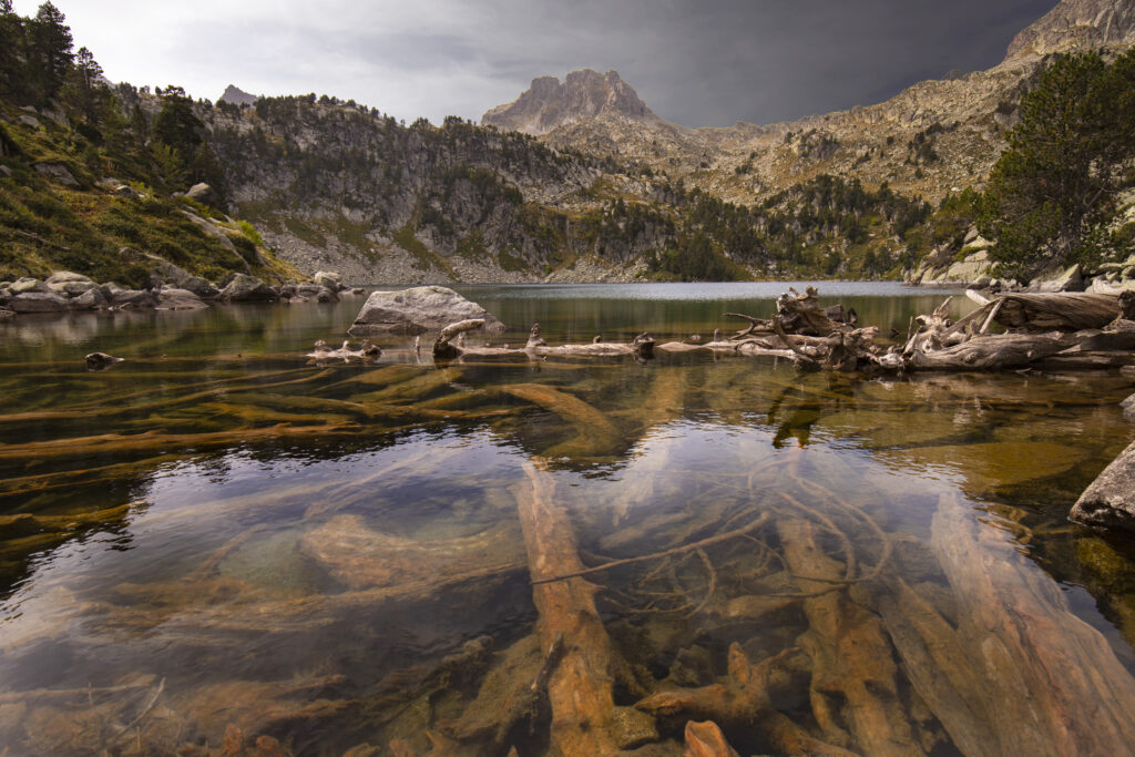 Dramatic mountain landscape reflected in clear river with submerged logs creating patterns Wallpaper