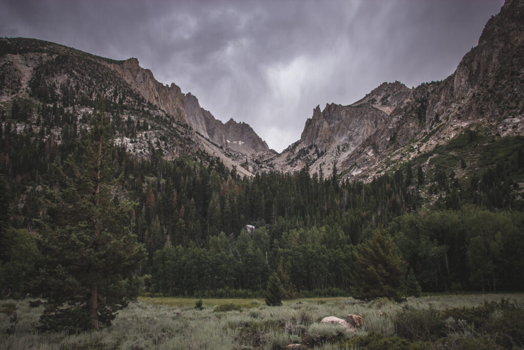 Dramatic rugged mountain peaks with lush green forests and wild grasses under moody sky wallpaper