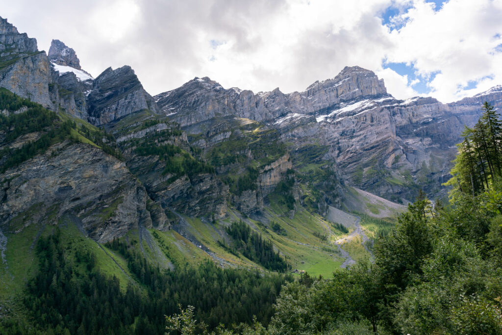 Dramatic mountain landscape with rocky slopes dense evergreens and lush green grass under clouds Wallpaper