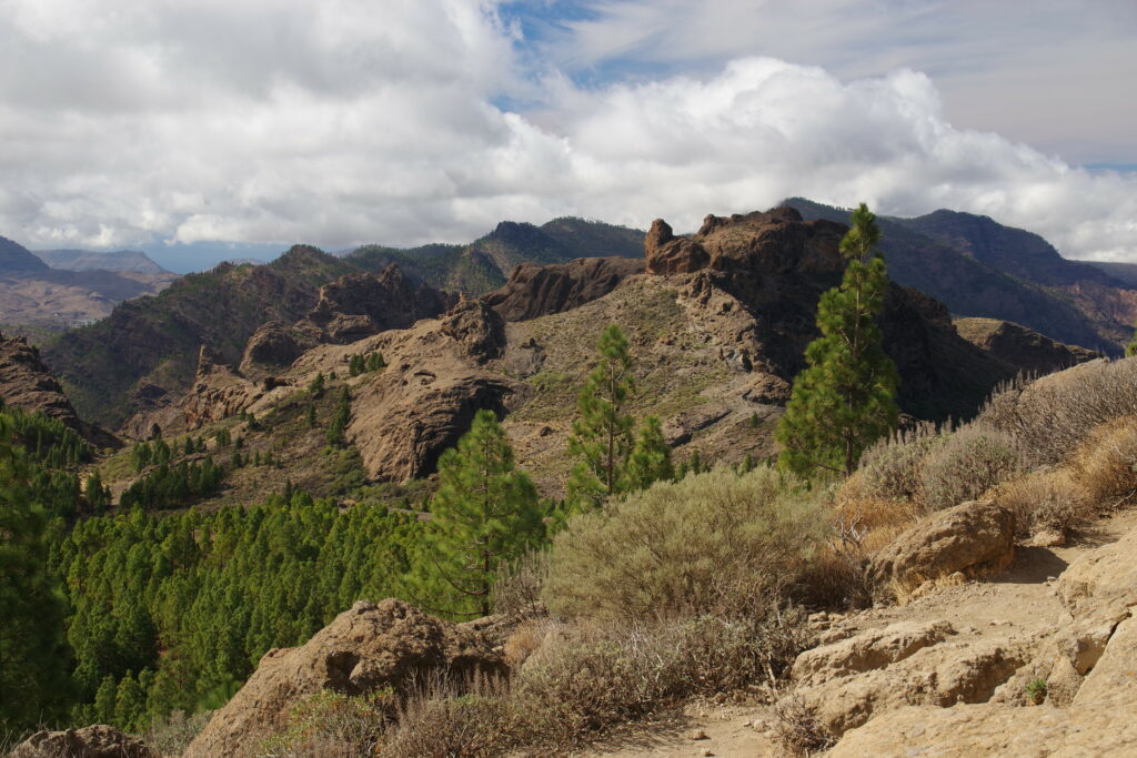 Rugged rocky mountains with green bushes tall pine trees and a partly cloudy sky wallpaper background