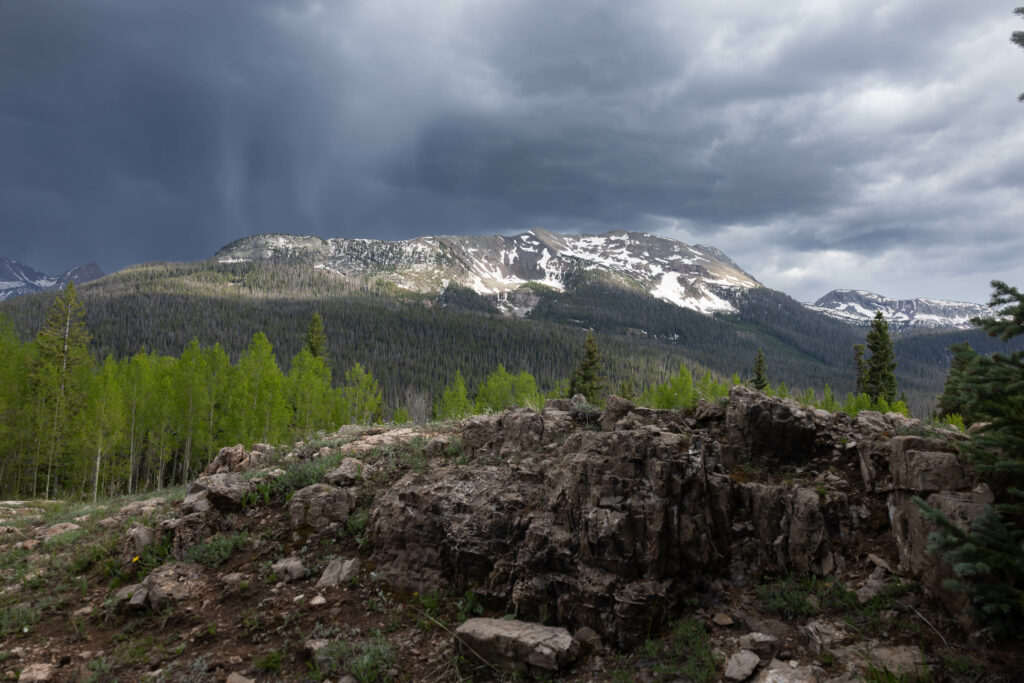 Dramatic mountain landscape with rugged stones green forest and snow-capped peaks under moody sky Wallpaper