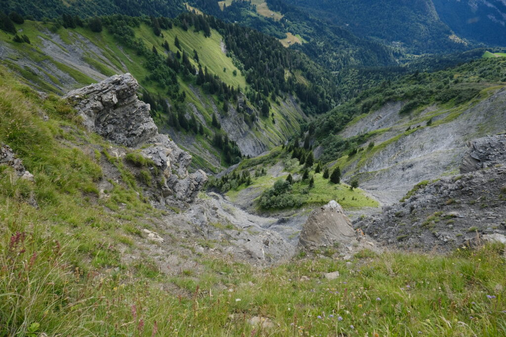 Dramatic mountain landscape with grassy slopes rocky gorge dense forests and distant peaks wallpaper