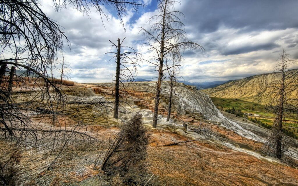 Dramatic mountain landscape with weathered wood barren trees and moody sky wallpaper background