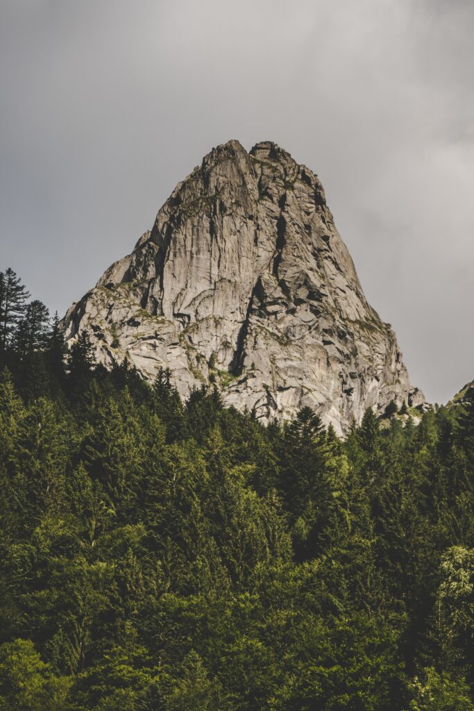 Dramatic mountain peak above evergreen forest with rugged rocks in soft natural daylight wallpaper