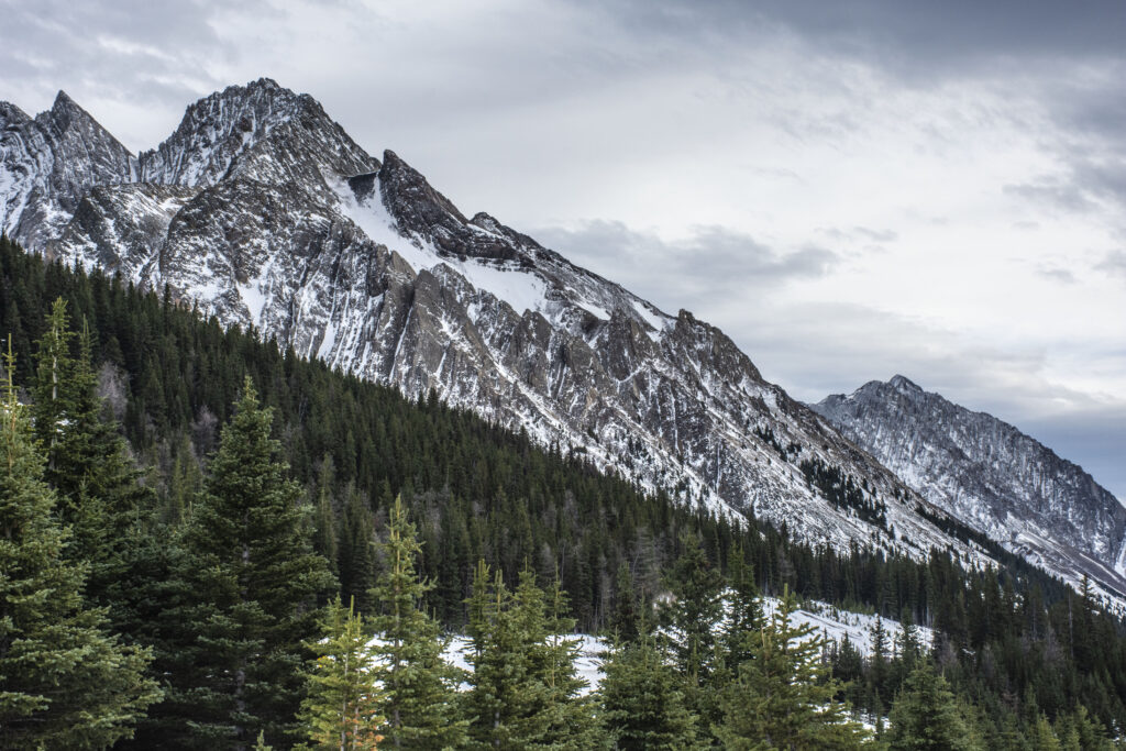 Dramatic mountain peak above evergreen forest with snow patches under moody overcast sky wallpaper