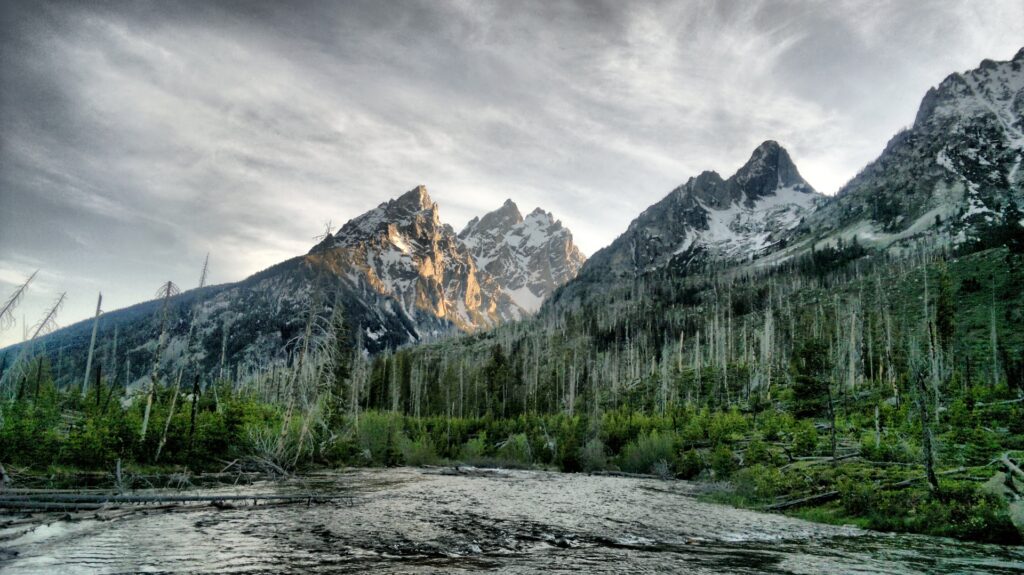 Dramatic landscape wallpaper with winding river dense green forest dead trees and rugged mountains