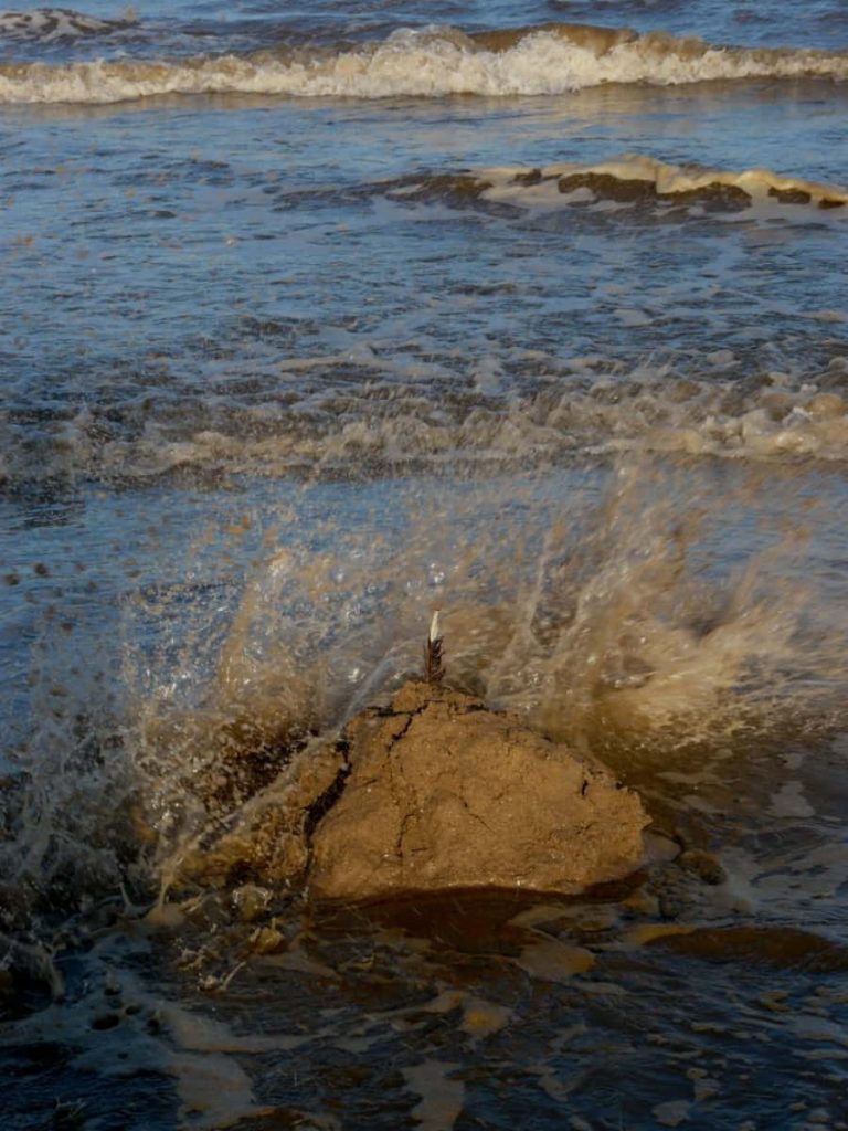 Rugged sandy mound with twig and crashing ocean wave in warm light textured shoreline scene Wallpaper