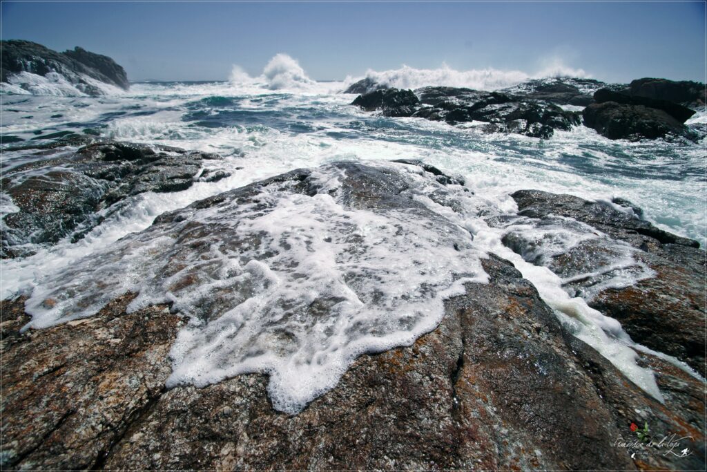Powerful ocean waves crashing over rugged rocks with white foam under a clear blue sky wallpaper