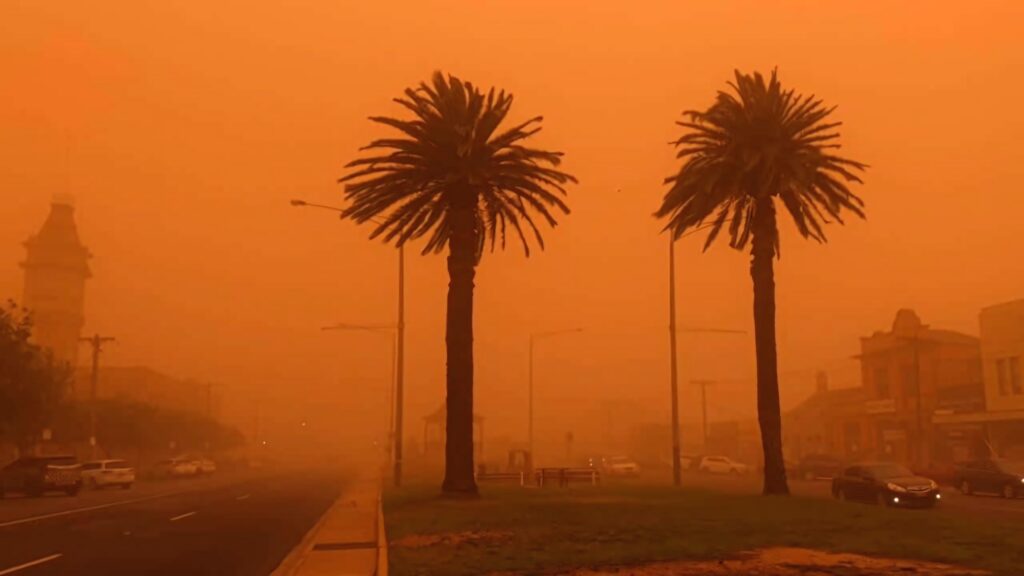 Cityscape with orange dust storm haze and silhouetted palm trees creating surreal atmosphere Wallpaper