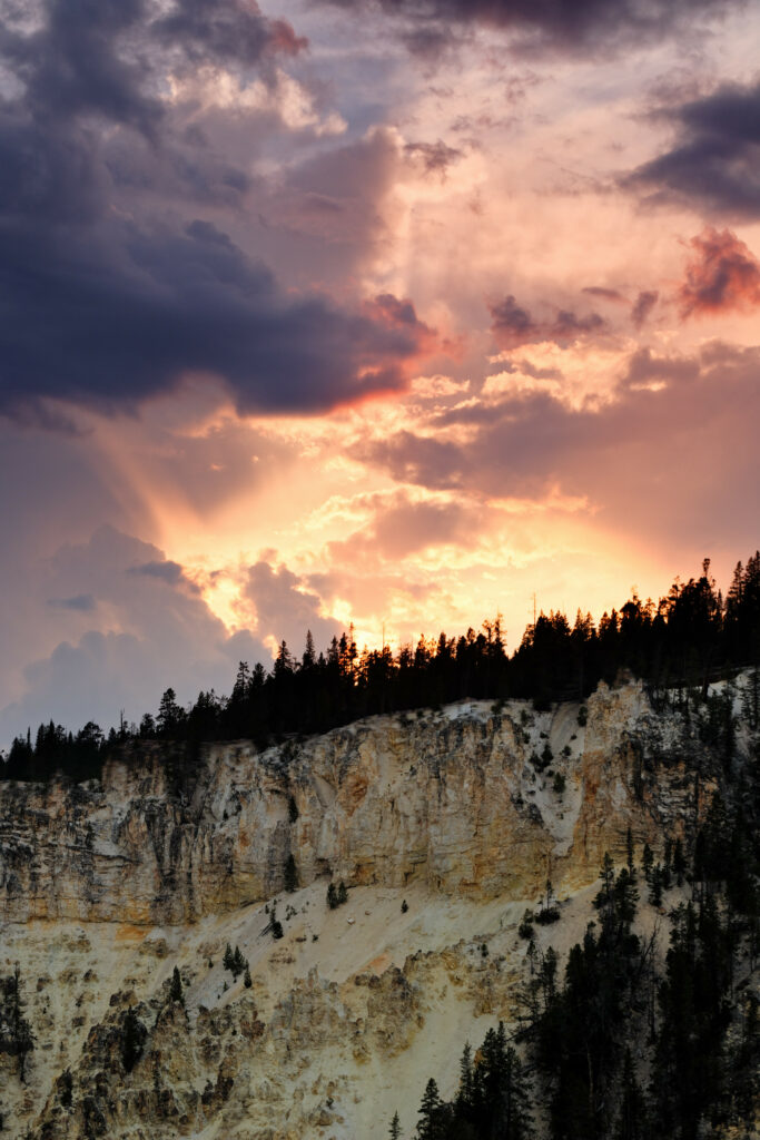 Rocky slope with tall pine trees at sunset vibrant sky glowing clouds natural landscape wallpaper
