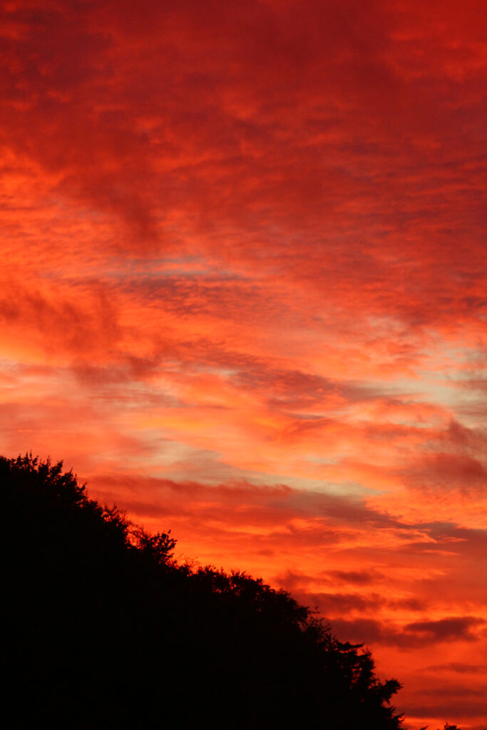 Dramatic sunset sky with vivid red orange clouds over dark tree silhouettes wallpaper background