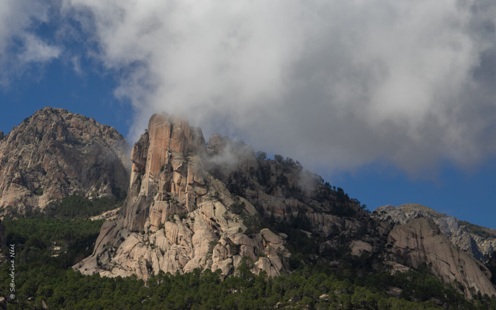 Dramatic rock formation above lush forest under bright blue sky with soft clouds wallpaper background