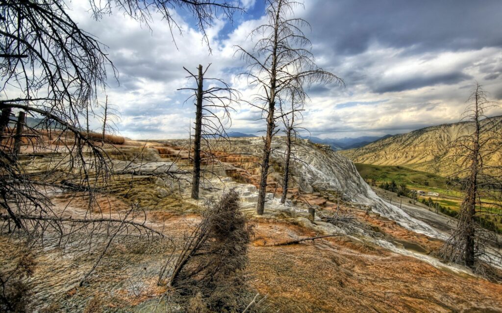 Leafless trees on rocky mineral terrain with green grass mountains and dramatic cloudy sky wallpaper