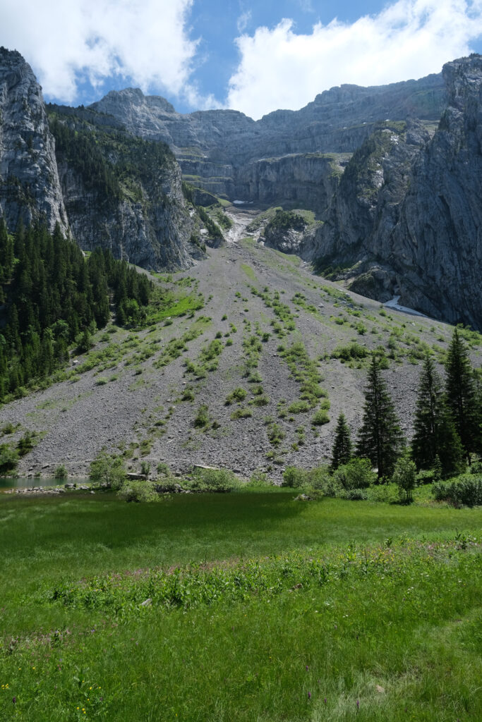 Rugged rocky slope descending into green valley with pine trees cliffs bright blue sky wallpaper