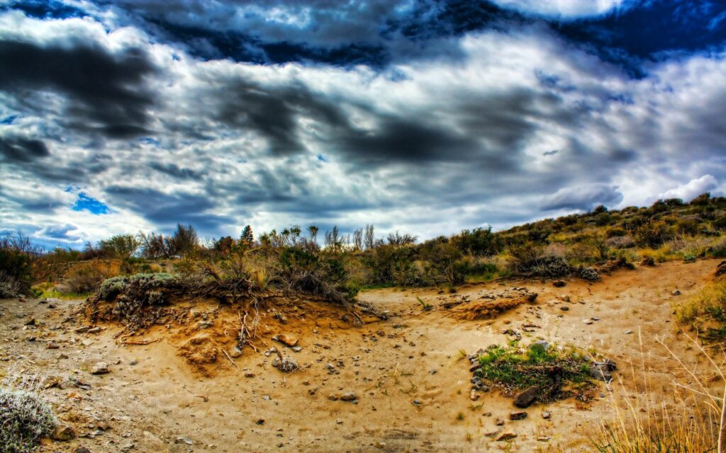 Rugged landscape with stones sandy soil wild plants exposed roots under dramatic cloudy sky wallpaper