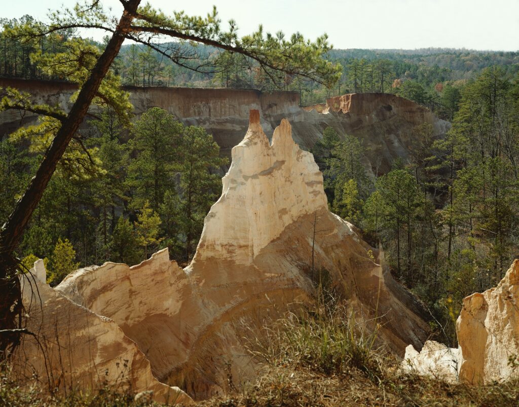 Dramatic sandstone cliff above lush green gorge with dense conifer trees and rolling mountains Wallpaper