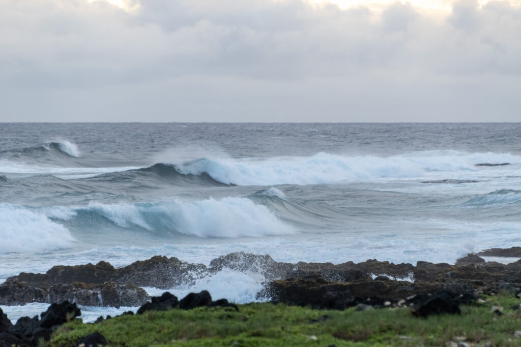 Dynamic seascape with crashing waves foamy splashes jagged stones and green grass foreground Wallpaper