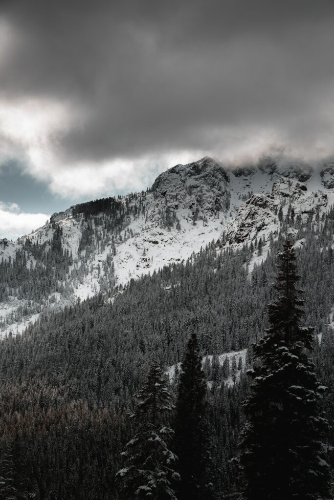 Dramatic snow-capped mountains with dark clouds and dense evergreen forests landscape wallpaper