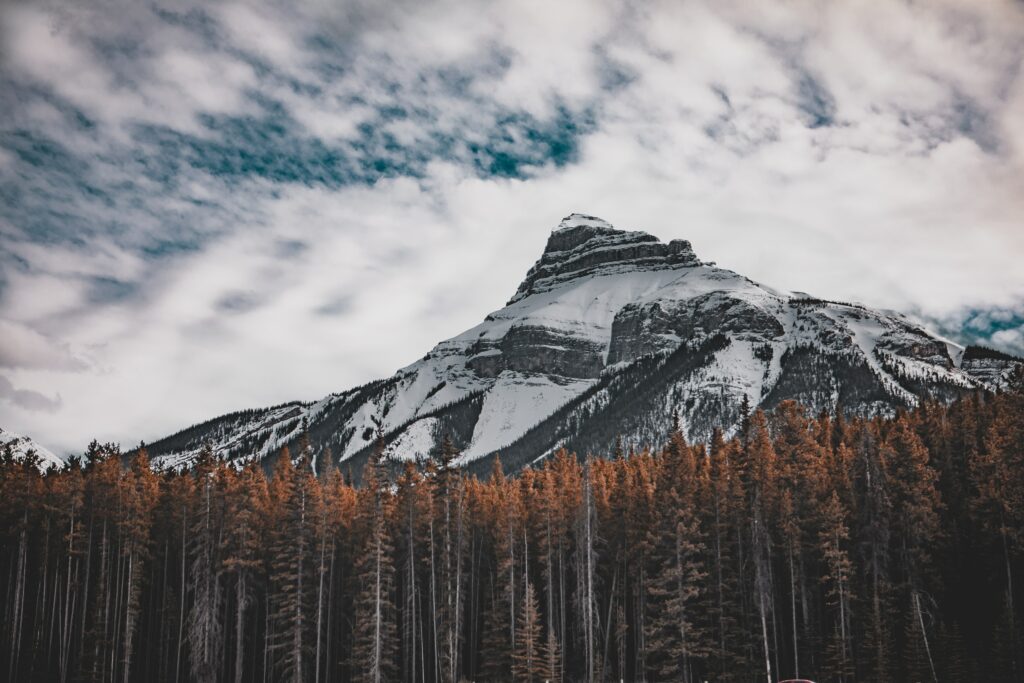 Snow-capped mountain above dense forest with vibrant orange trees and swirling cloud sky wallpaper