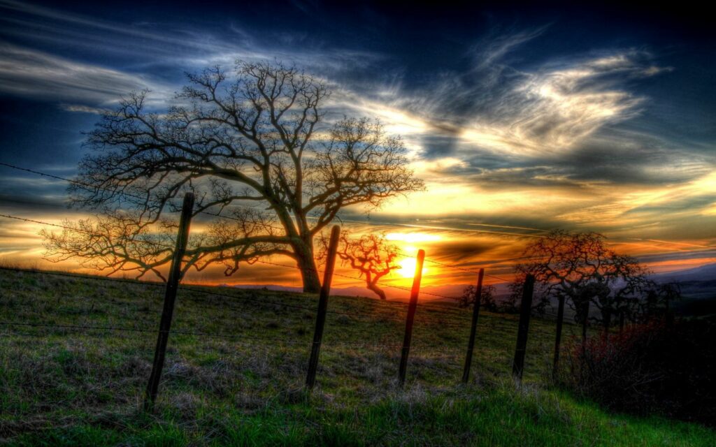 Dramatic sunset over grassy hillside with silhouetted trees and wire fence peaceful nature view Wallpaper