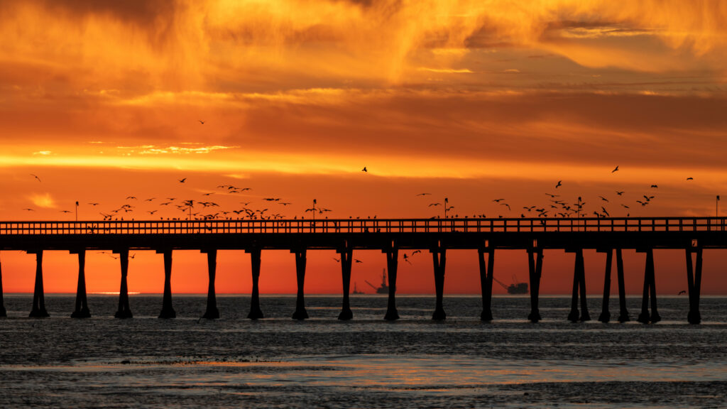 Dramatic sunset with orange gold sky birds soaring above long bridge over calm sea at dusk Wallpaper