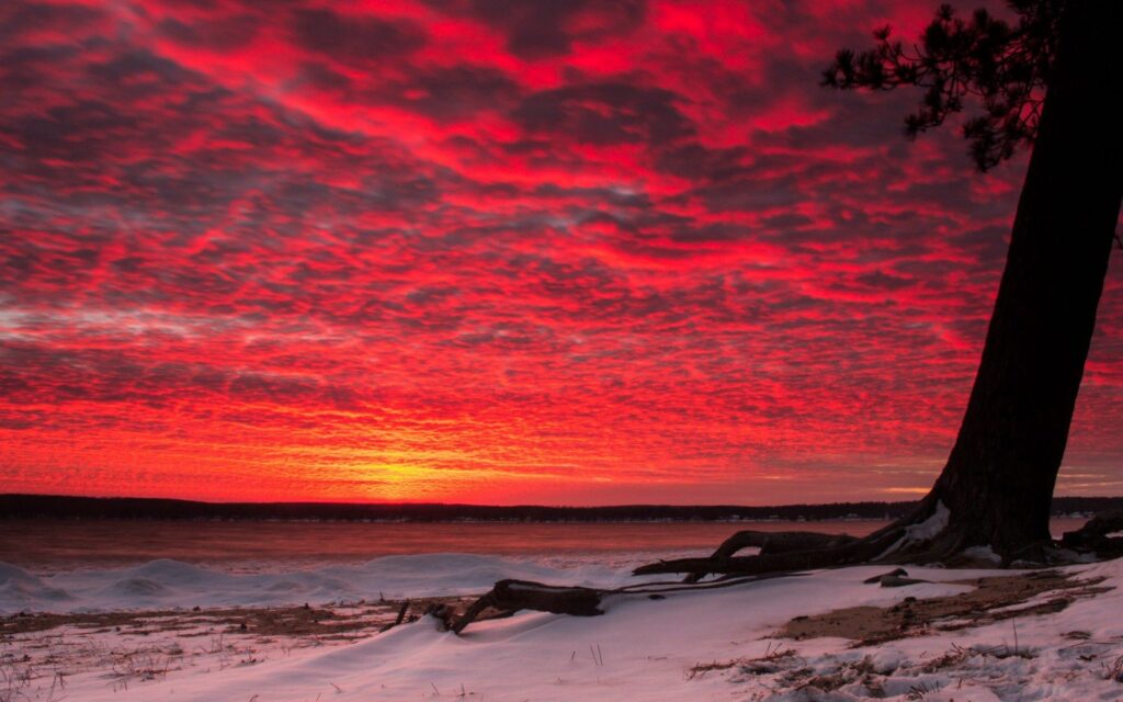 Dramatic sunset with red orange sky over snowy landscape and solitary tree with exposed roots wallpaper