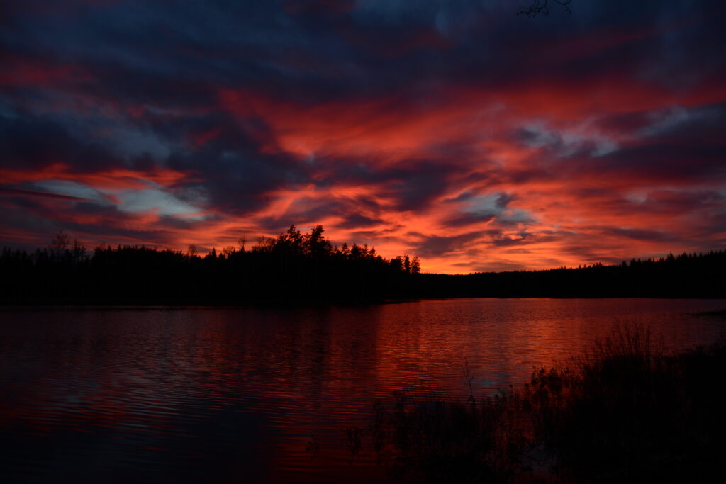 Dramatic sunset over calm river with vivid red orange hues and dark tree silhouettes wallpaper