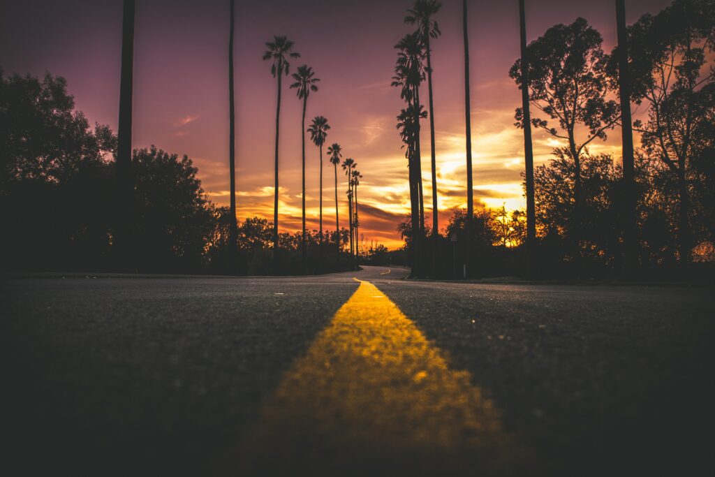 Dramatic sunset sky with palm trees winding road yellow road marking vibrant silhouette scene Wallpaper