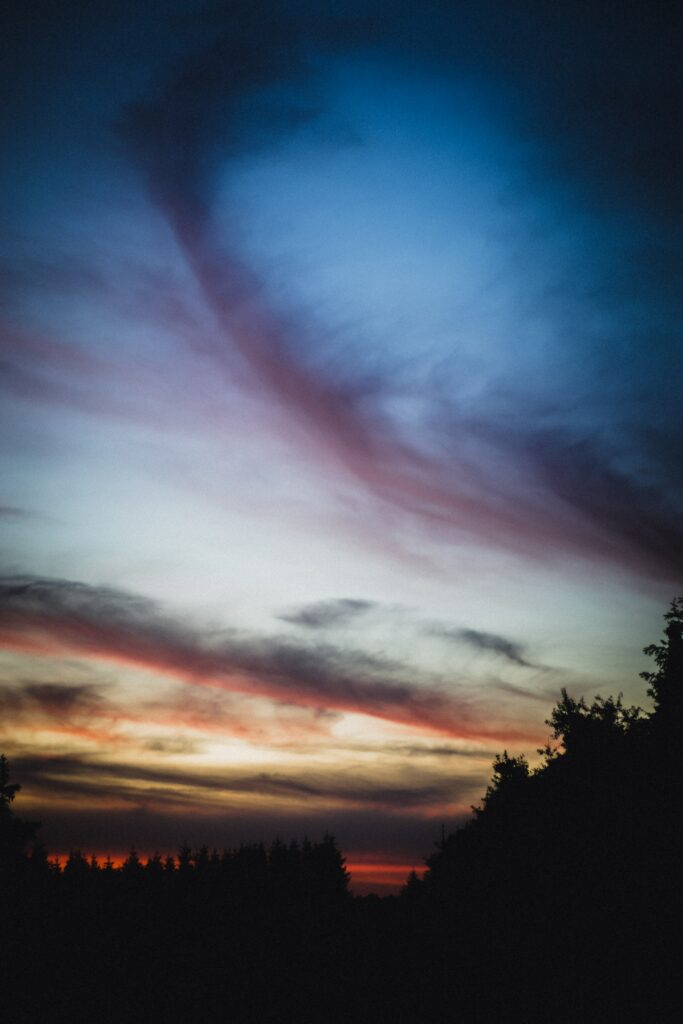 Silhouetted trees against vibrant sunset sky with swirling clouds in blue orange and red hues Wallpaper