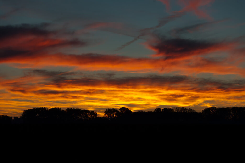 Sunset sky with vibrant orange and red hues silhouetting distant trees serene nature wallpaper