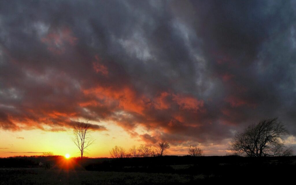Dramatic sunset wallpaper with dark clouds and silhouetted bare trees in warm orange glow