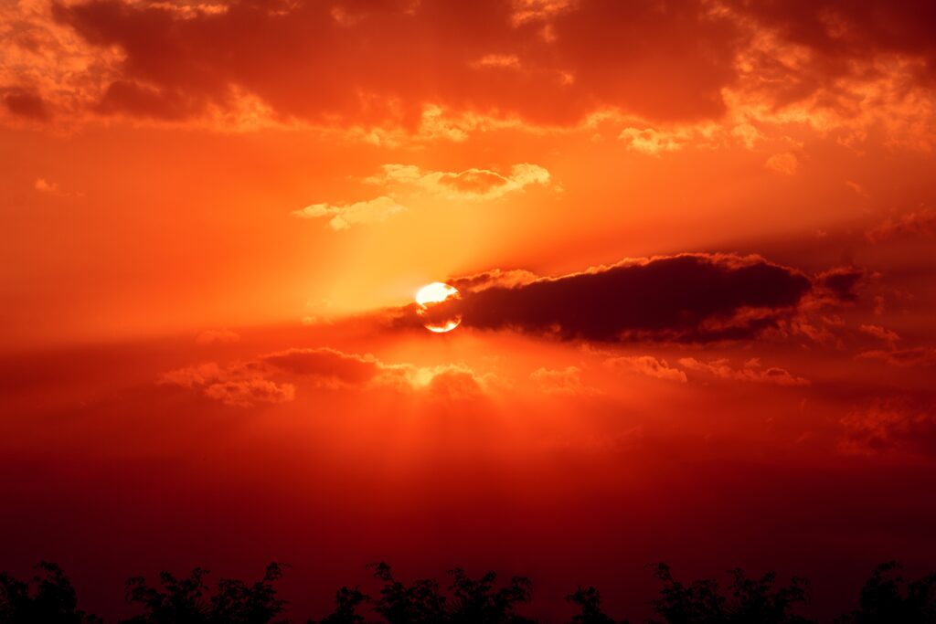 Sunset wallpaper with golden orange rays behind dark clouds and tree silhouettes at horizon