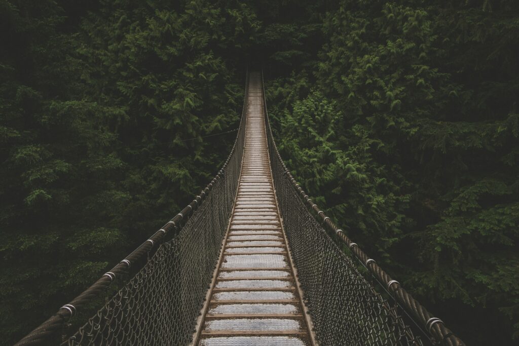 Suspension bridge over dense green forest creating mystery and adventure nature wallpaper background