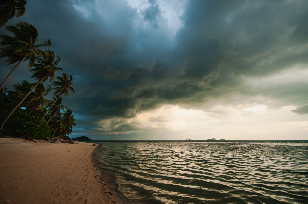 Dramatic tropical beach with swaying palms dark storm clouds calm sea textured waves wallpaper background