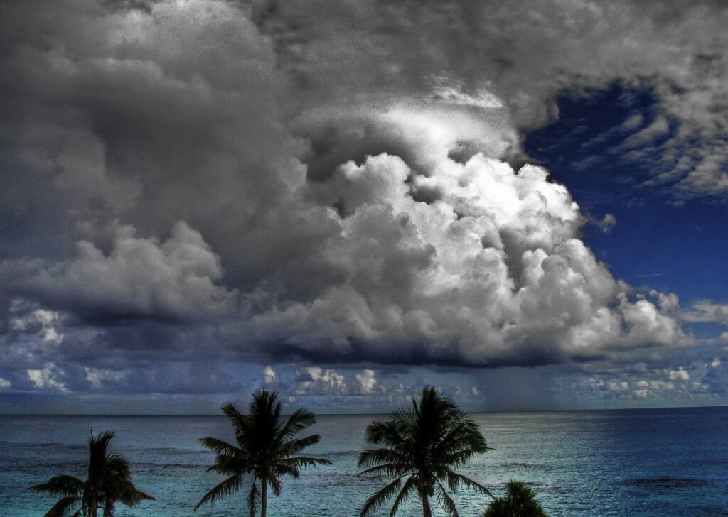 Dramatic coastal wallpaper with towering clouds calm sea and silhouetted tropical palm trees