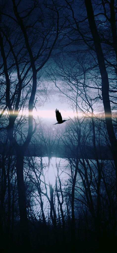 Dramatic Twilight iPhone Wallpaper: Soaring Bird & Serene Lake Background