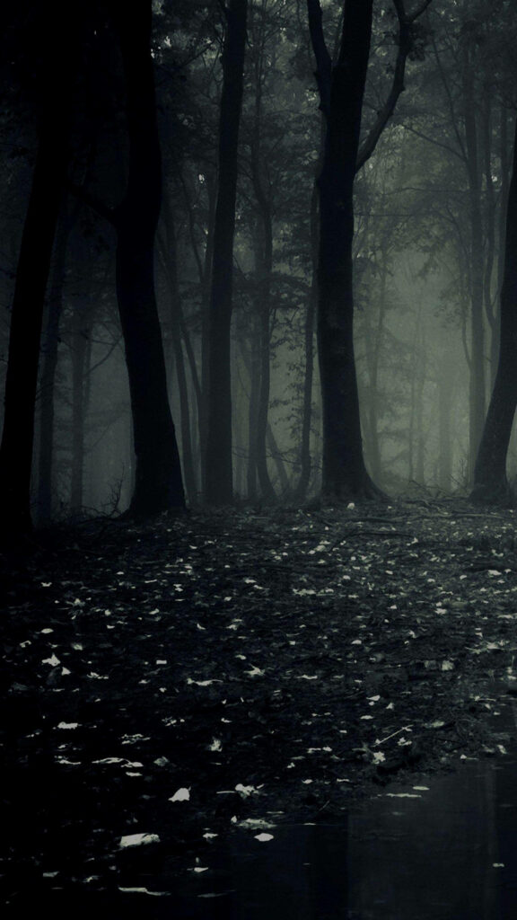 Obscured Horrors: Eerie Shadows and Dense Mist Blanketing Sinister Woods in Dark Phone Background Wallpaper