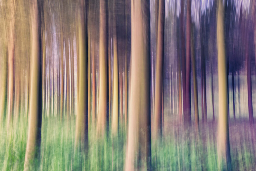 Dreamlike Forest Wallpaper: Soft Focus Trees & Earthy Tones