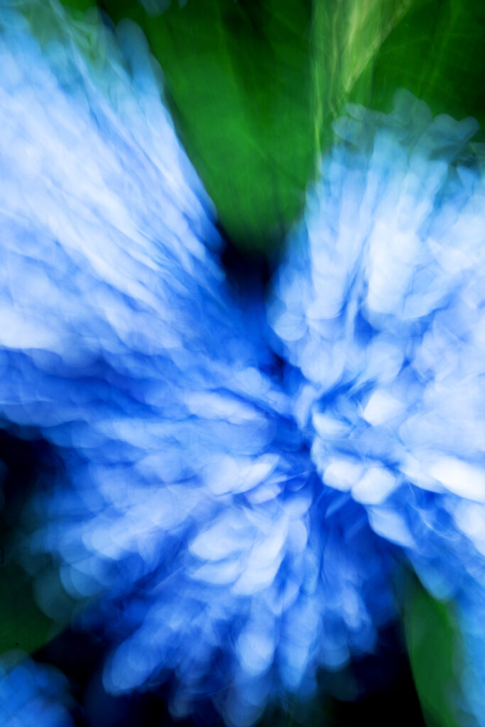 Dreamy Blue Hydrangea Wallpaper: Ethereal Floral Background Art