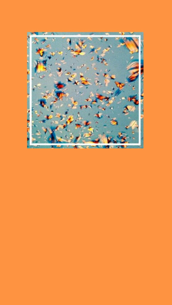 Dreamy Blue Wallpaper with Colorful Butterflies in Flight
