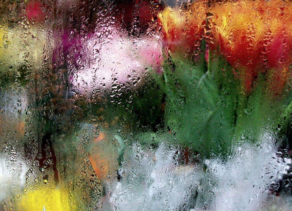 Dreamy Wallpaper: Blurred Colorful Flowers & Water Droplets Background