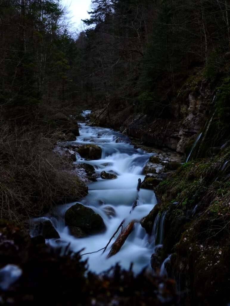 Dreamy long exposure stream flowing over smooth stones in dense forest with mossy rocks wallpaper